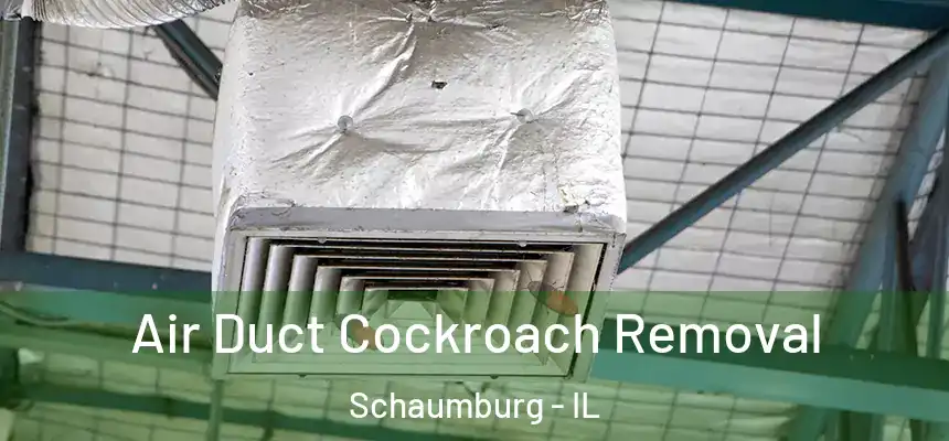  Air Duct Cockroach Removal Schaumburg - IL