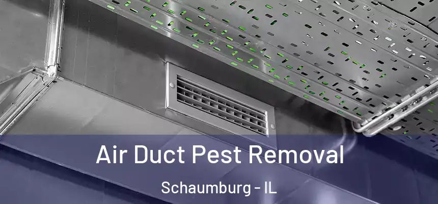 Air Duct Pest Removal Schaumburg - IL