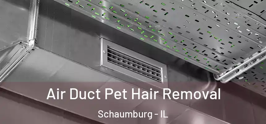 Air Duct Pet Hair Removal Schaumburg - IL