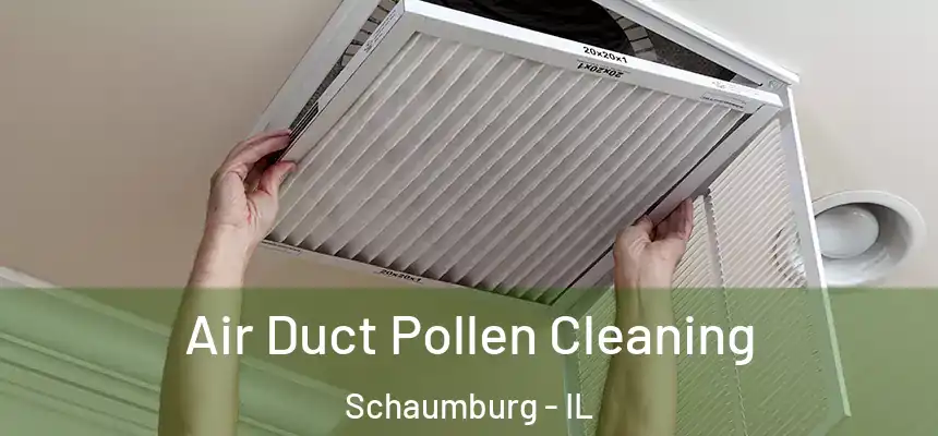  Air Duct Pollen Cleaning Schaumburg - IL