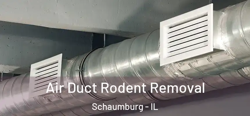 Air Duct Rodent Removal Schaumburg - IL