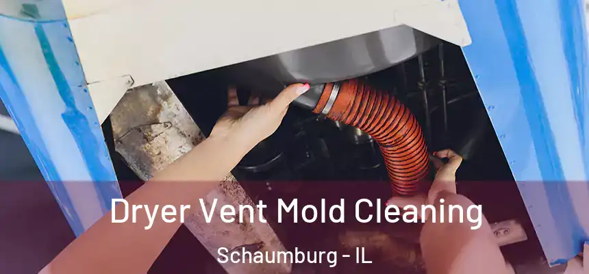  Dryer Vent Mold Cleaning Schaumburg - IL