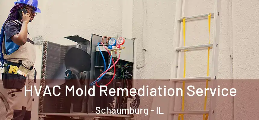  HVAC Mold Remediation Service Schaumburg - IL