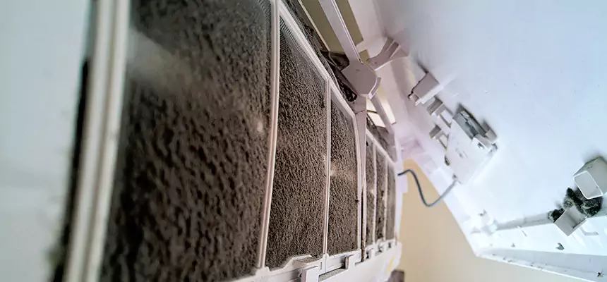 Preventive Air Duct Bacteria Removal in Schaumburg