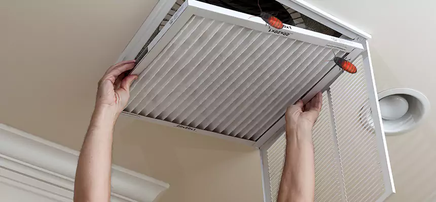 Preventive Cockroach-Proofing for Ducts in Schaumburg