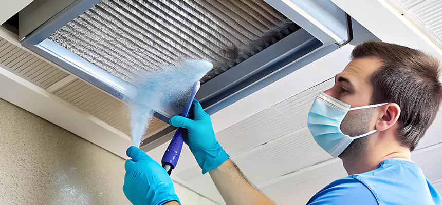 Proactive Dryer Vent & Auxiliary Duct Pollen Cleanup in Schaumburg, IL