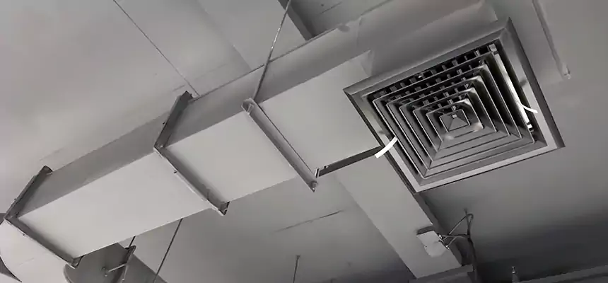 Restorative Allergy Relief Vent Cleaning – Coil, Blower & Housing Detail in Schaumburg