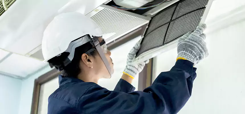 Our Mold & Mildew Removal from Air Ducts Services in Schaumburg, IL