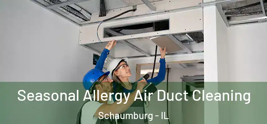 Seasonal Allergy Air Duct Cleaning Schaumburg - IL