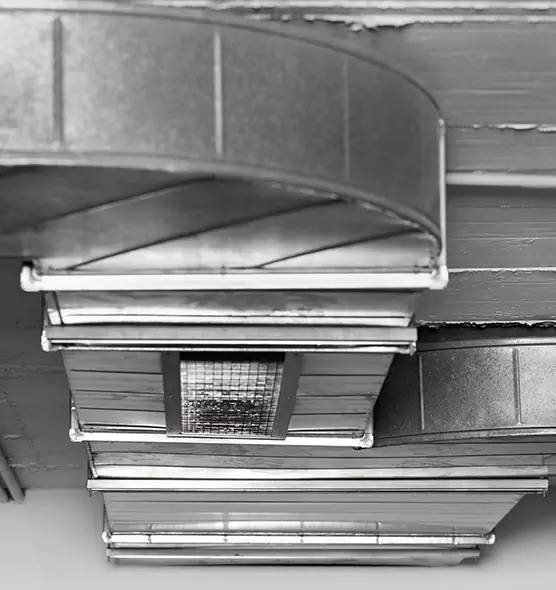 Professional Air Duct Pest Removal in Schaumburg, IL