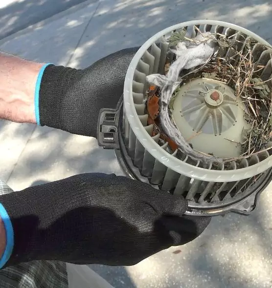 About Air Duct Rat Removal in Schaumburg, IL