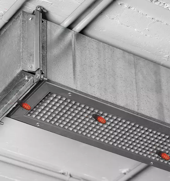 Affordable Insect Removal from Air Ducts in Schaumburg, IL
