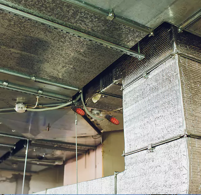 Why Homeowners & Businesses Trust Us in Schaumburg, IL?